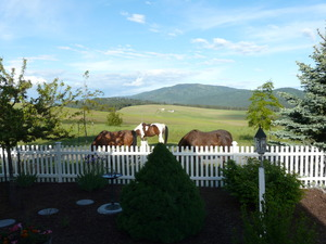 Photo #2