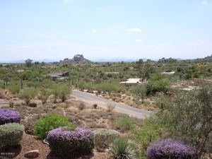 Photo #2