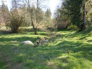 Photo #3