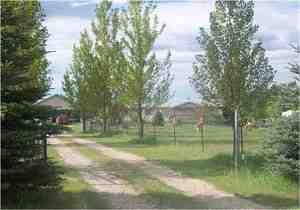 Photo #3