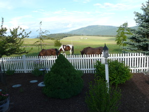 Photo #3