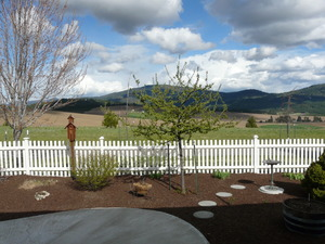 Photo #3