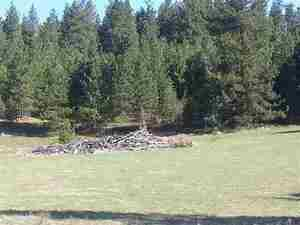Photo #3