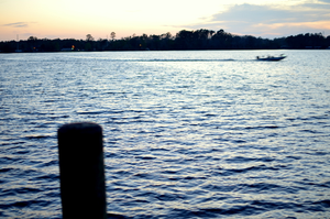 Photo #3