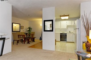 Photo #5