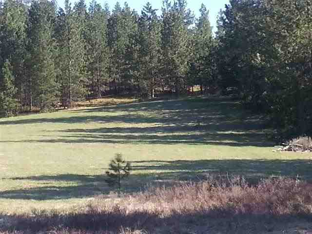 Photo #1