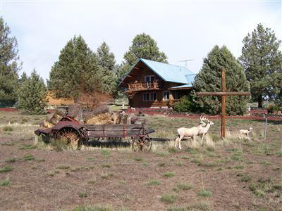 Photo #1
