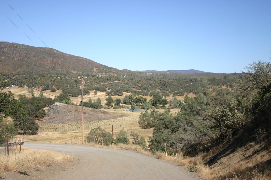 Photo #3