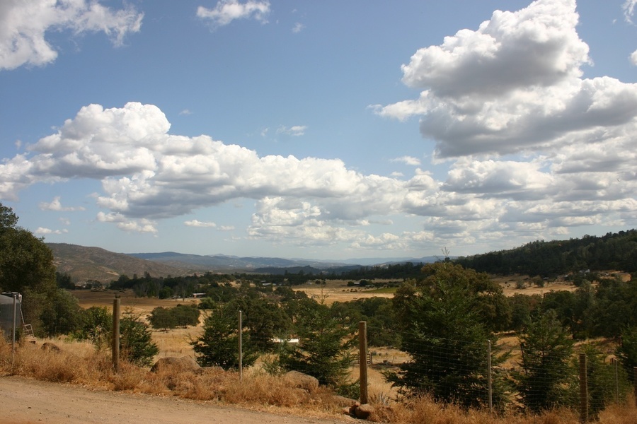 Photo #5