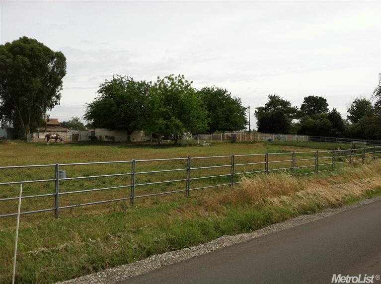 Photo #1