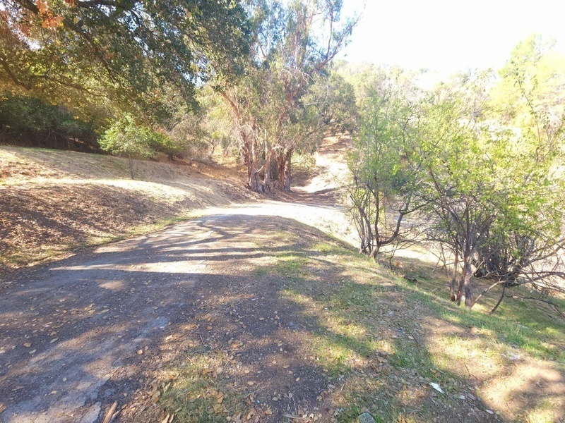 Photo #3