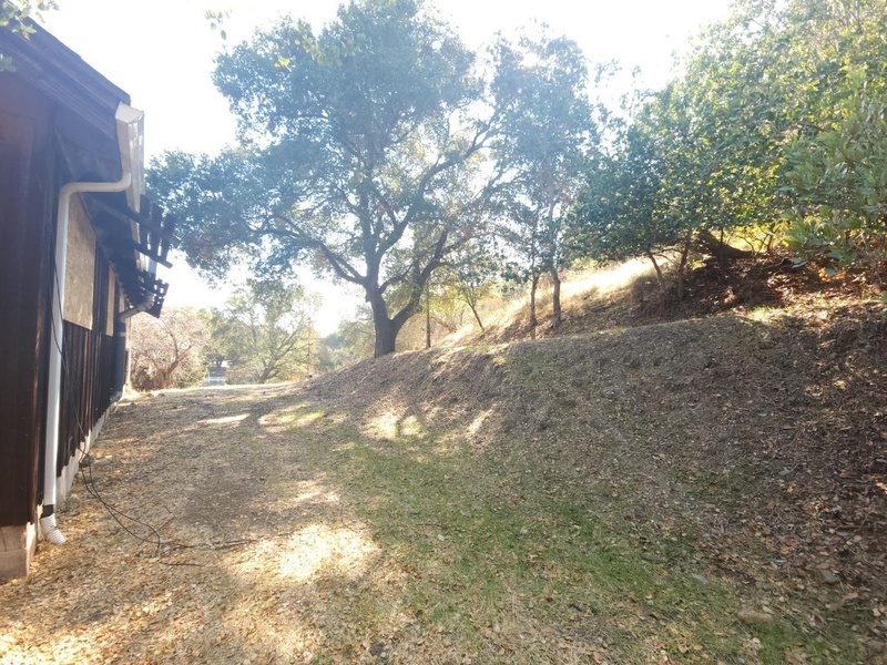 Photo #5
