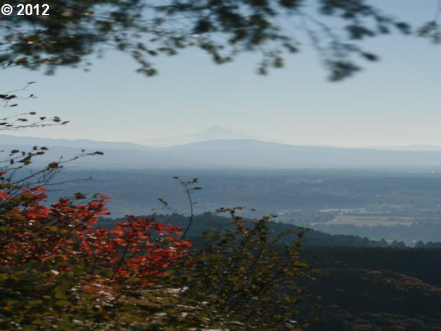 Photo #2
