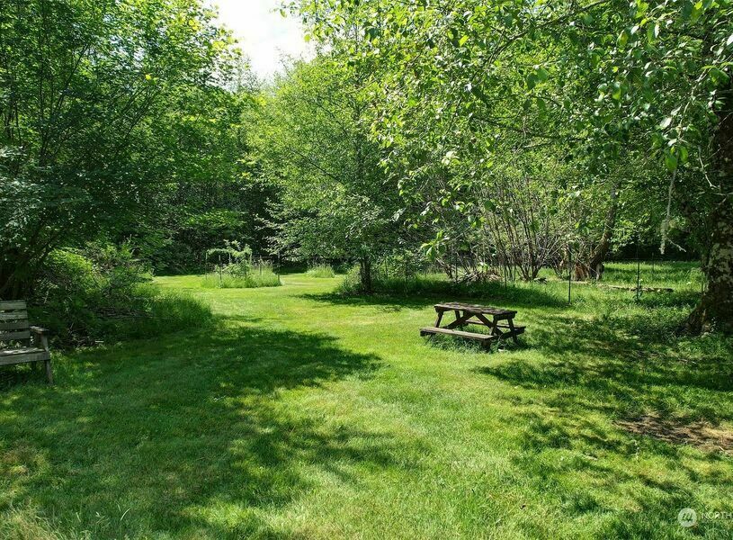 Photo #6