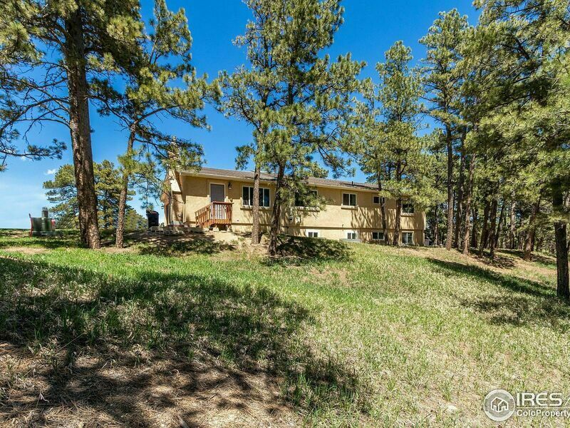 Photo #6