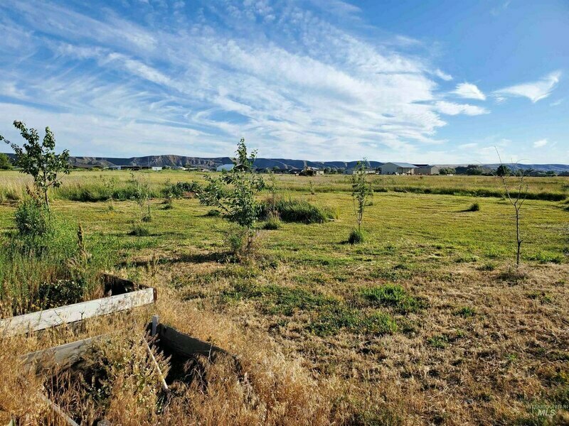 Photo #6