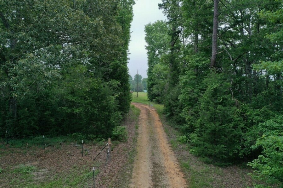 Photo #4