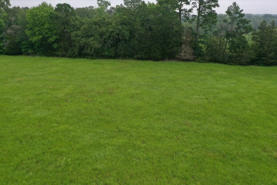 Photo #5