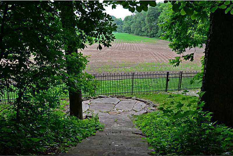 Photo #6