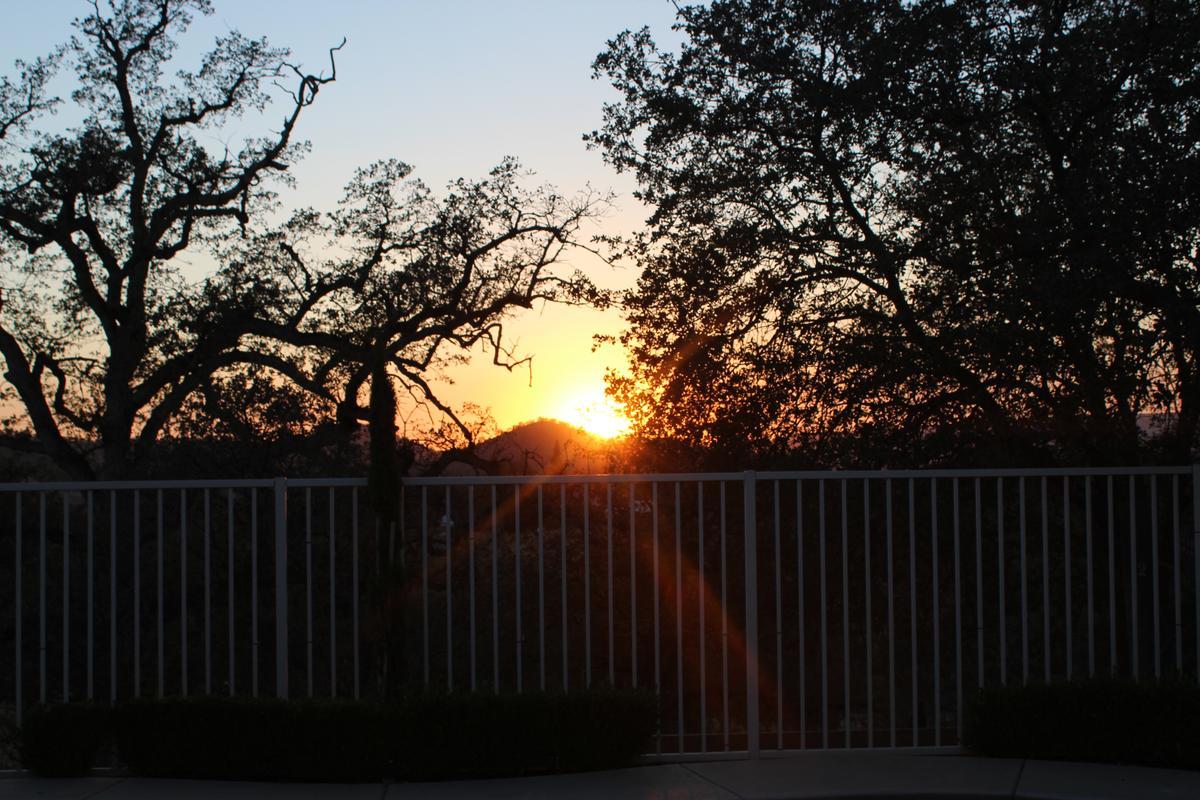 Photo #2