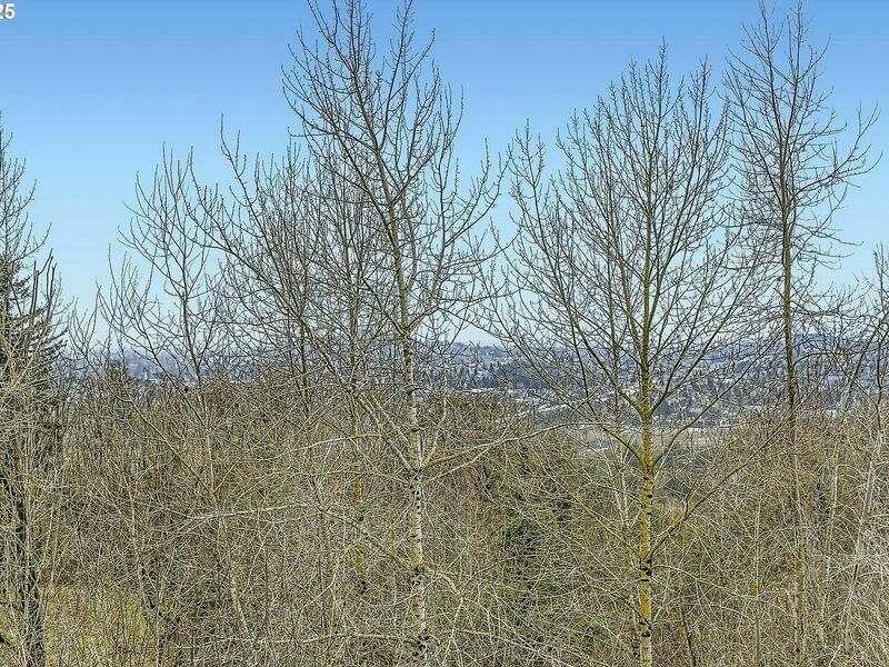 Photo #5
