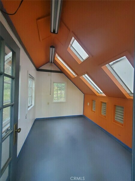 Photo #5
