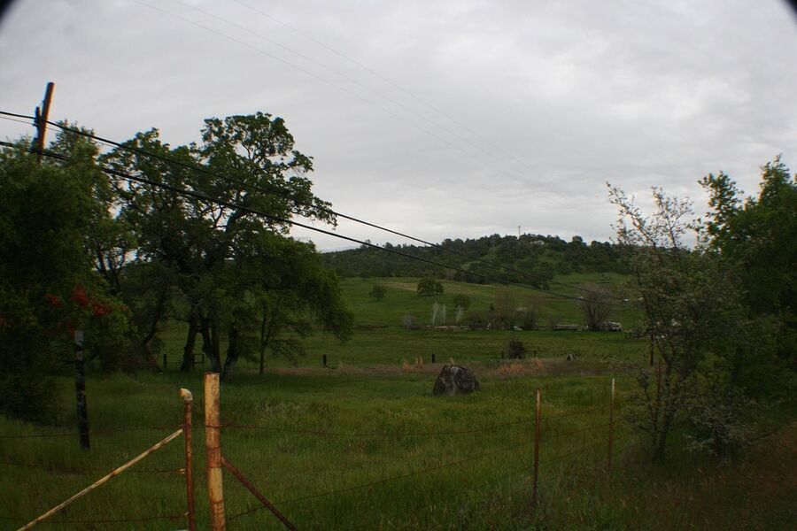 Photo #6