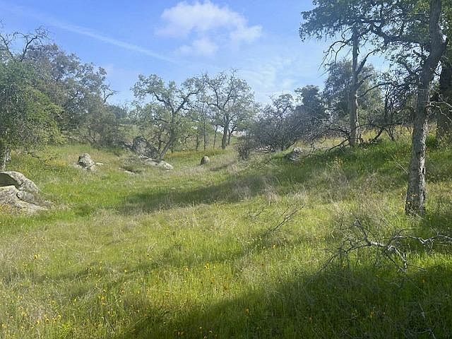 Photo #3