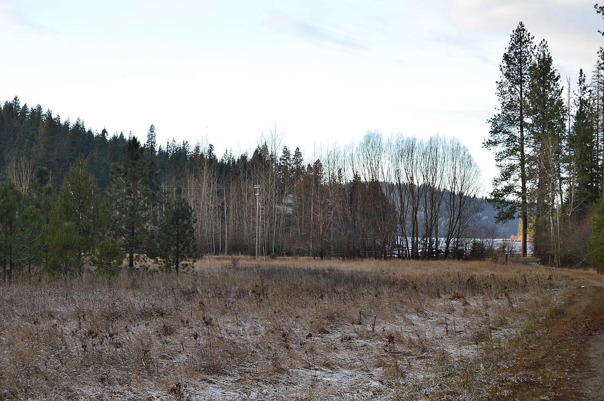Photo #1