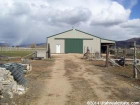 Photo #2