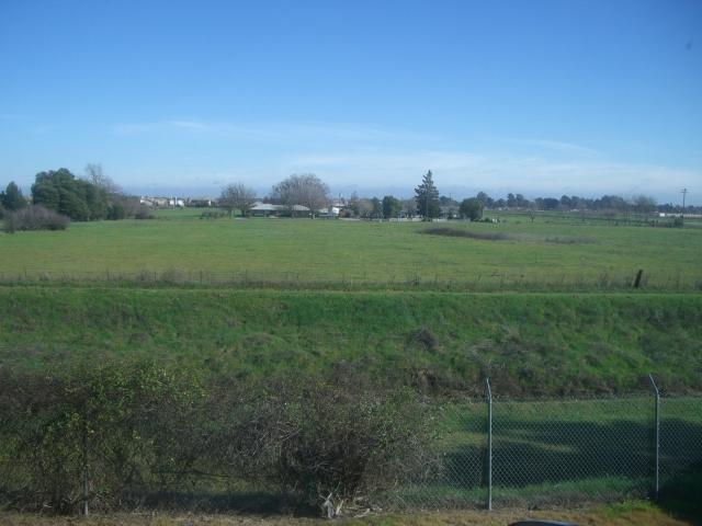 Photo #3