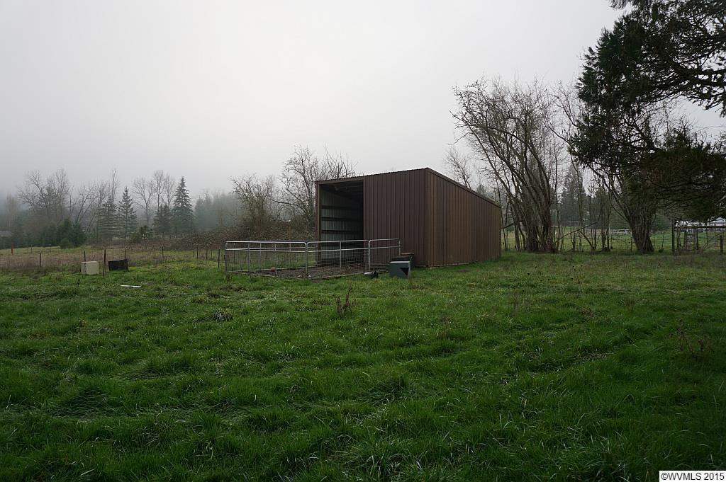 Photo #3