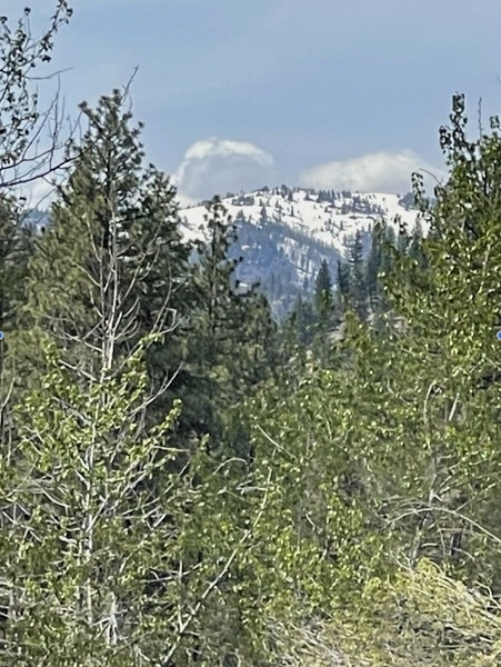 Photo #4