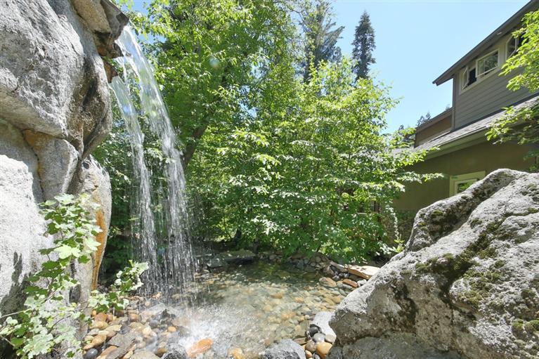 Photo #6