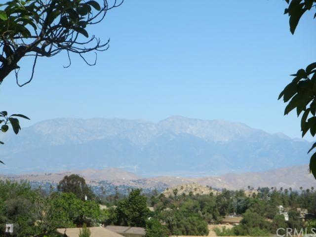 Photo #5