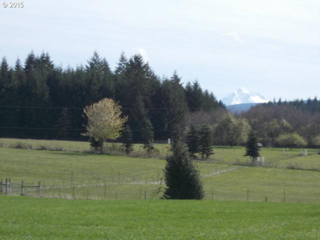 Photo #2