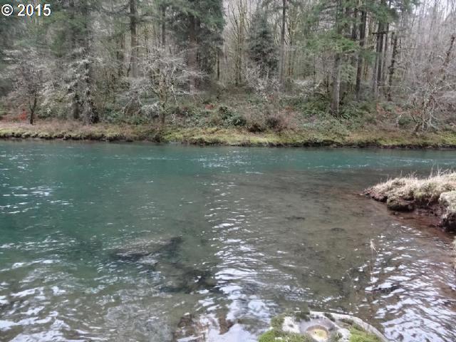 Photo #1