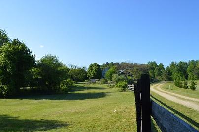 Photo #3