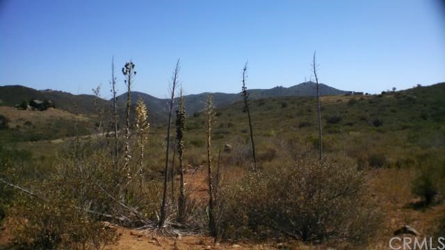 Photo #3