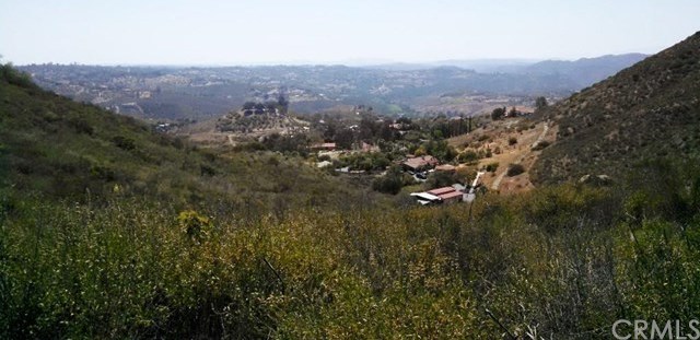 Photo #1