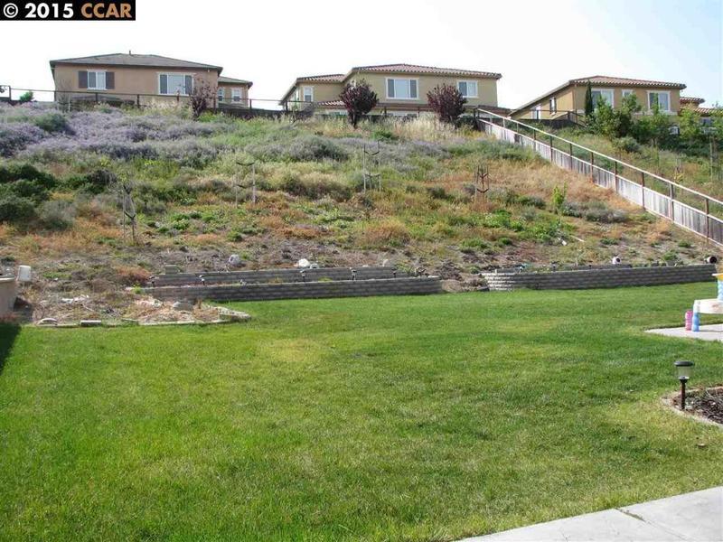 Photo #2
