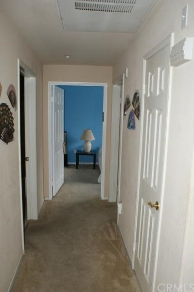 Photo #4