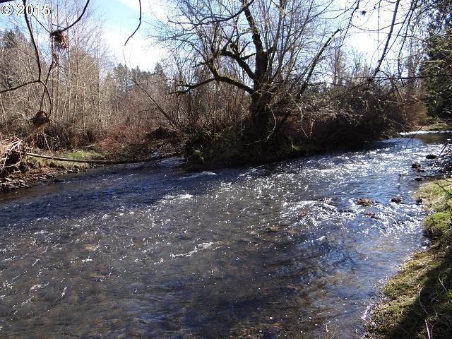 Photo #3