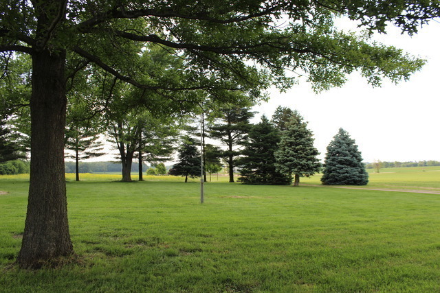 Photo #4