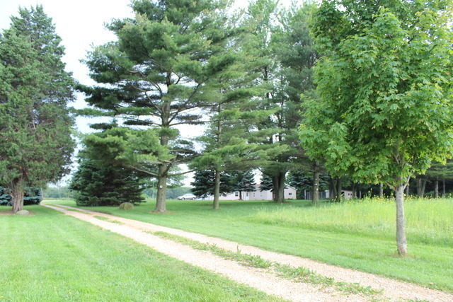 Photo #2