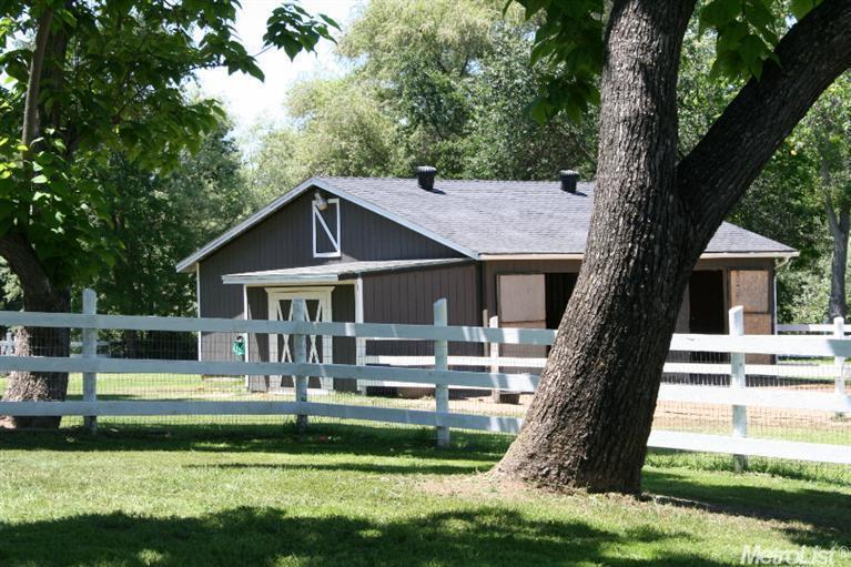 Photo #2