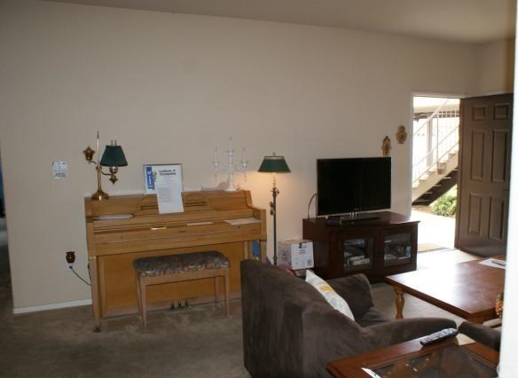 Photo #5