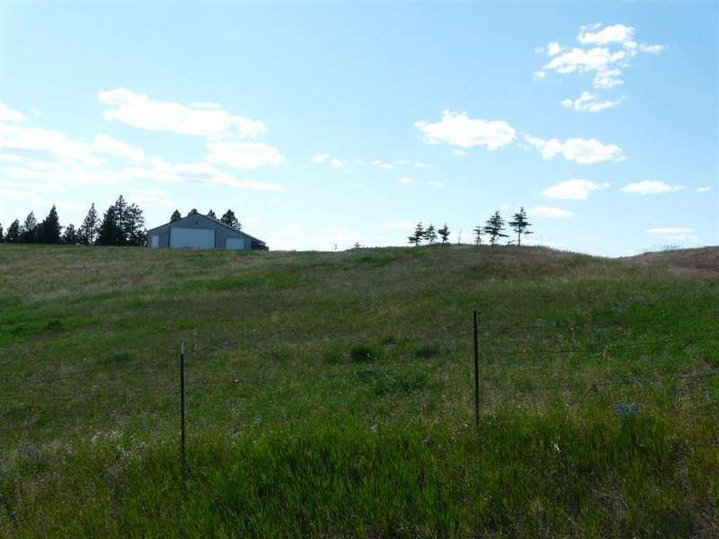 Photo #2