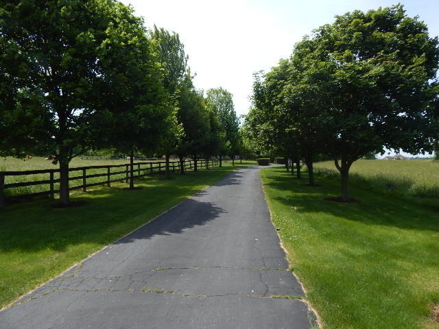 Photo #2