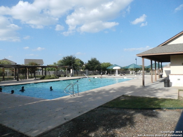Photo #6